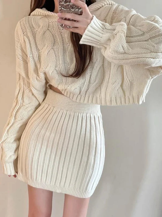 Autumn/ Winter Knitted Hooded Sweater and Elastic Waist Bodycon Skirt Set